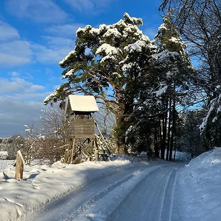 Oaza Mazurska - Lasek 3*