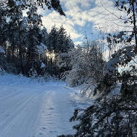 Oaza Mazurska - Lasek 3* Piecki (Warmian-Masurian)