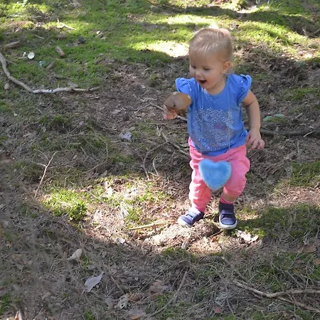 Oaza Mazurska - Lasek Frühstückspension 3*