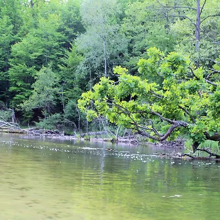 Frühstückspension Oaza Mazurska - Lasek Piecki (Warmian-Masurian)