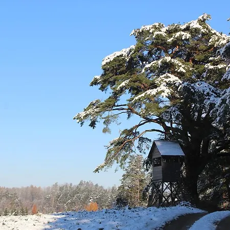 Frühstückspension Oaza Mazurska - Lasek 3*