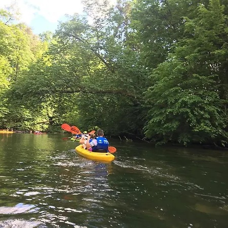 Oaza Mazurska - Lasek