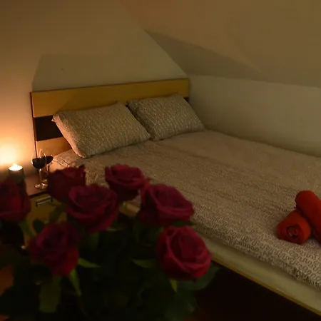 Oaza Mazurska - Lasek